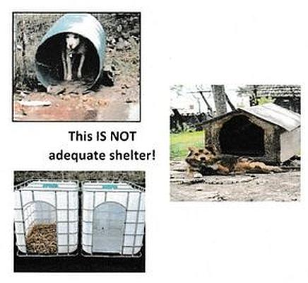 Adequate Shelter Law